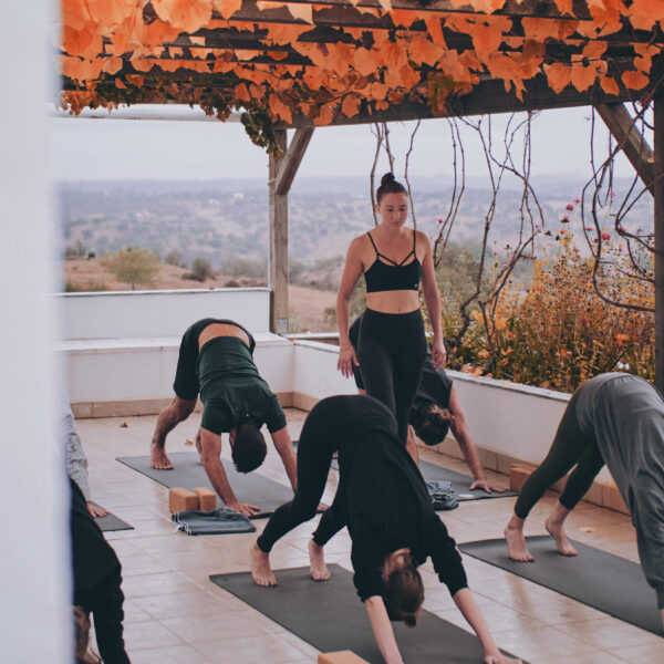 October 15 - October 24: trees & stories in Portugal | 500h Hybrid Ausbildung mit Alena